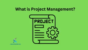 What is Project Management?